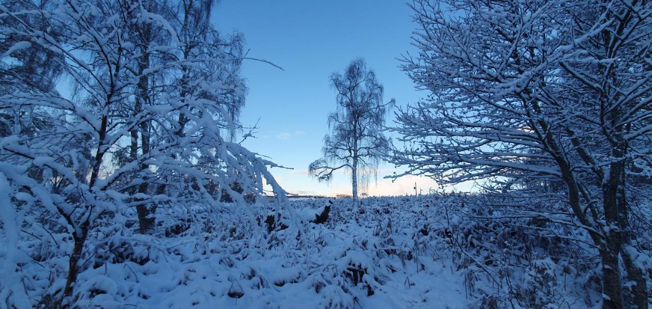 Torcroft Lodges Drumnadrochit Kültér fotó