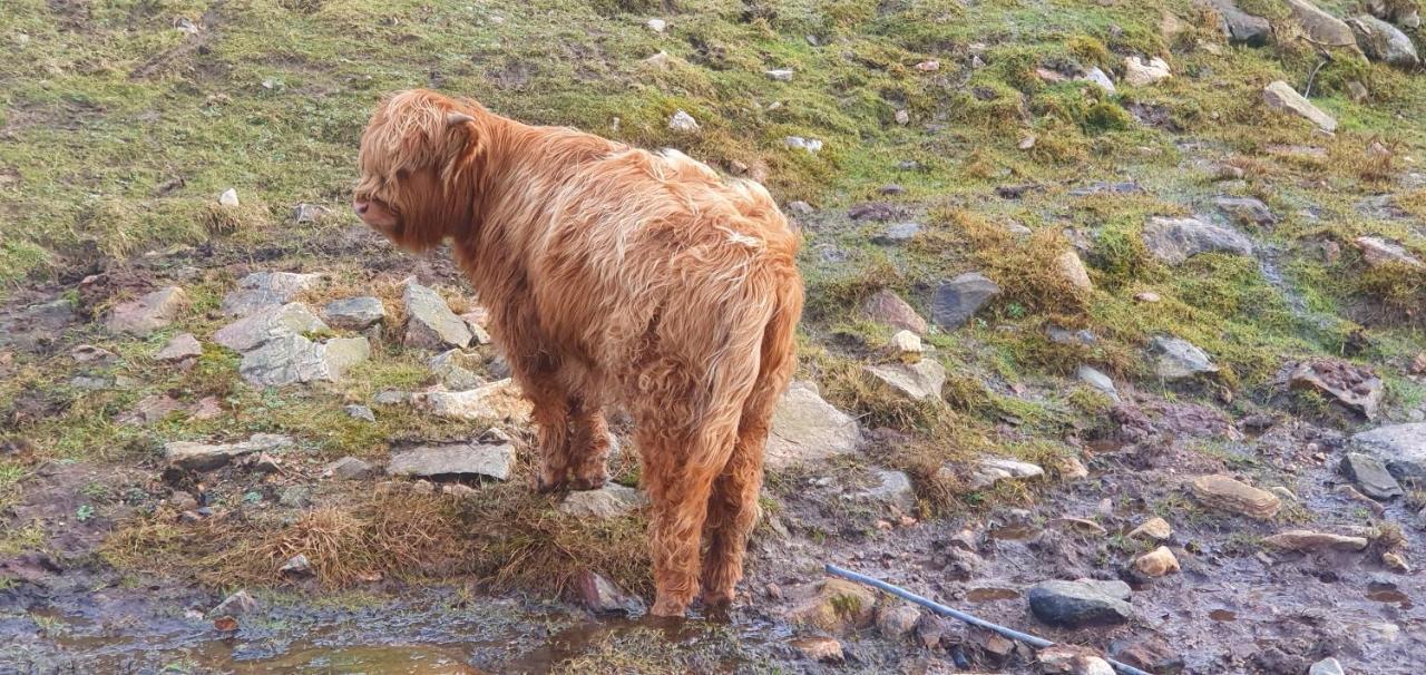 Torcroft Lodges Drumnadrochit Kültér fotó