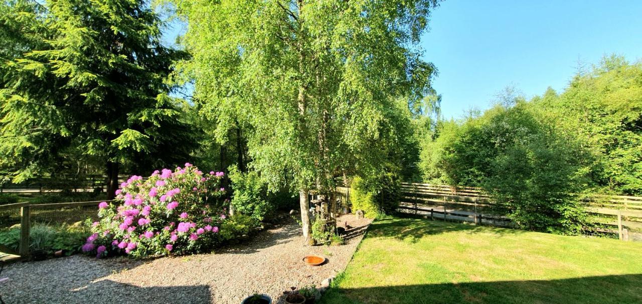 Torcroft Lodges Drumnadrochit Kültér fotó