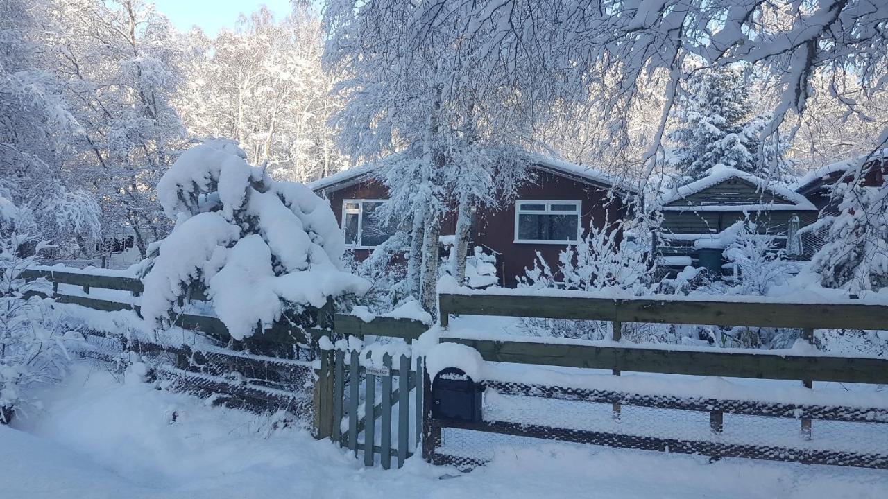 Torcroft Lodges Drumnadrochit Kültér fotó